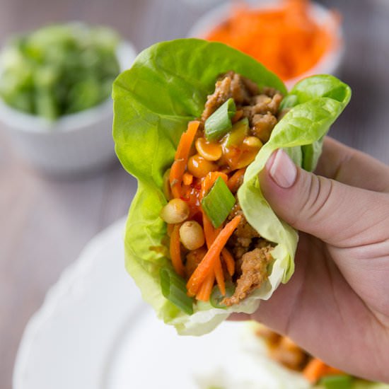 Healthy Asian Turkey Lettuce Wraps