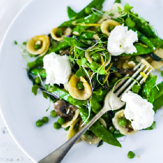 Spring Orecchiette Pasta