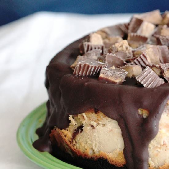 Peanut Butter Cup Cheesecake