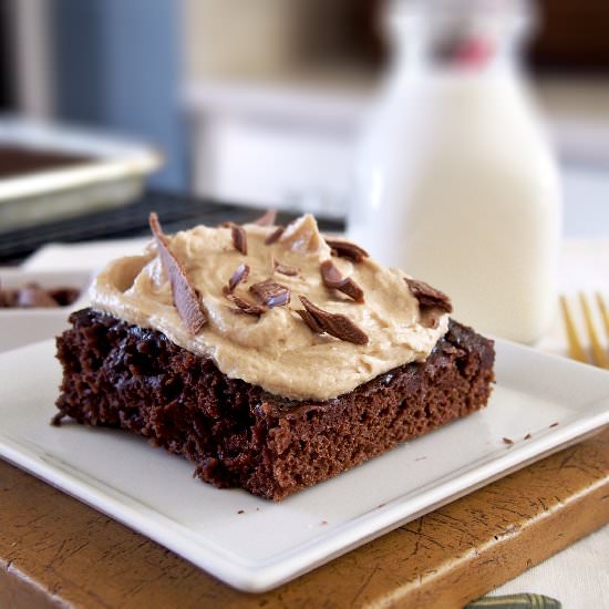 Chocolate Cake with Biscoff Icing