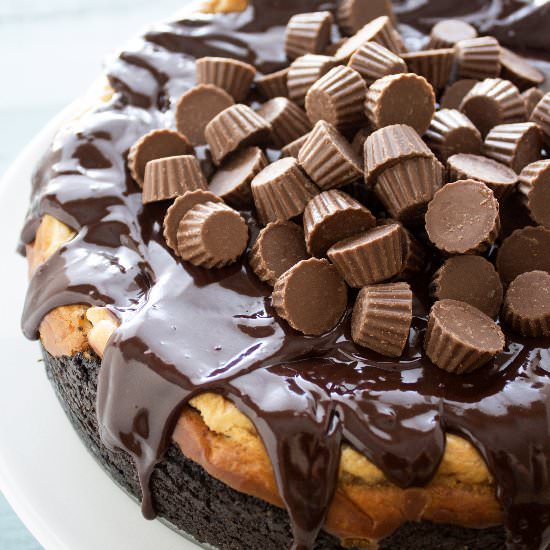 Peanut Butter Cup Cheesecake