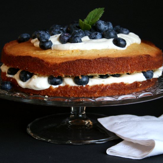 Cake with cream and blueberries