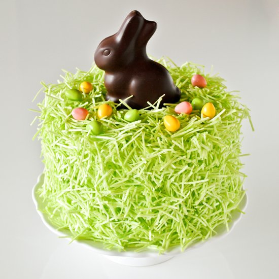 Chocolate bunny cake