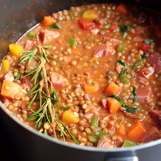 Lentil and Pork Stew