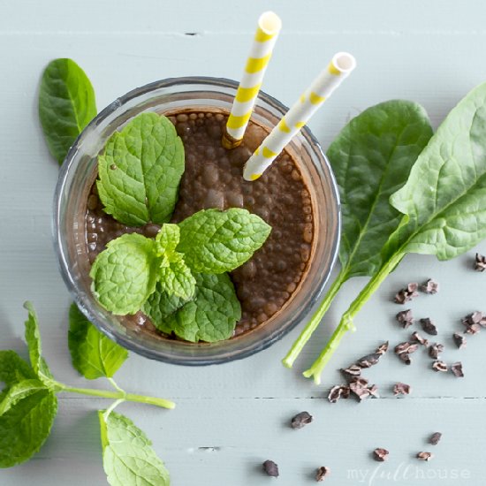 Vegan Chocolate and Mint Smoothie