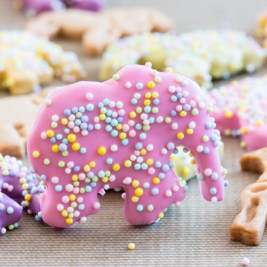 Spring Circus Animal Cookies