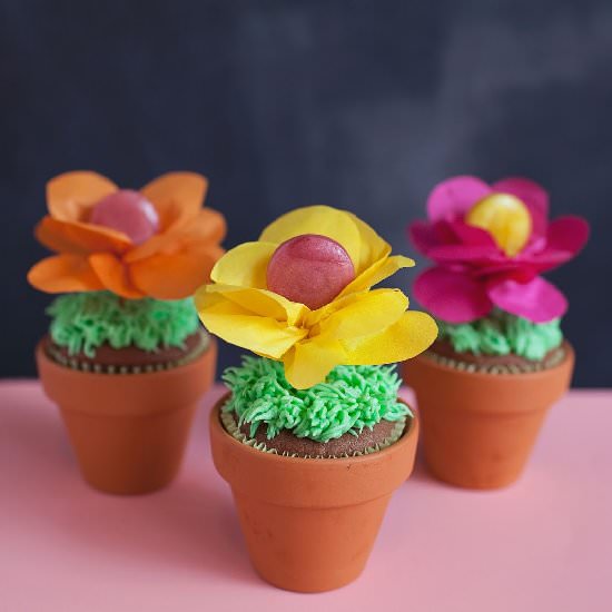 Flower Pot Cupcakes