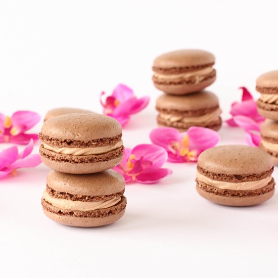 Hazelnut chocolate macarons