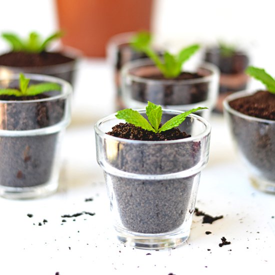 Chocolate Dirt Pudding Cups