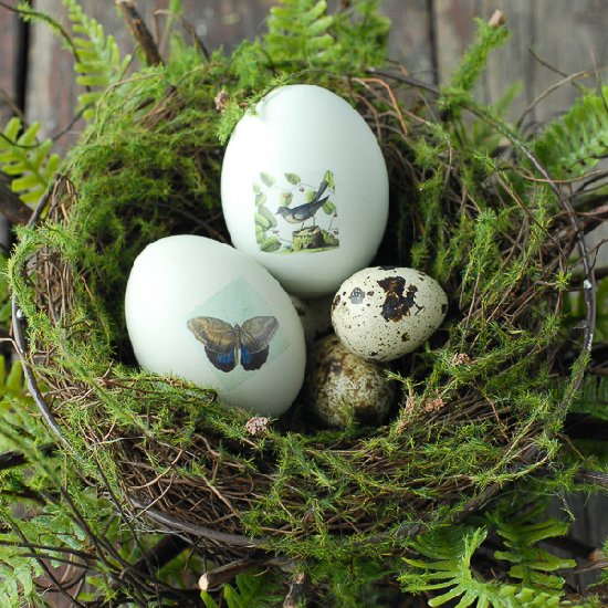 Tattooed Hard Boiled Easter Eggs