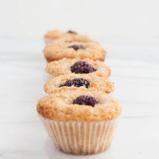 Whole Wheat Blackberry Mini Muffins