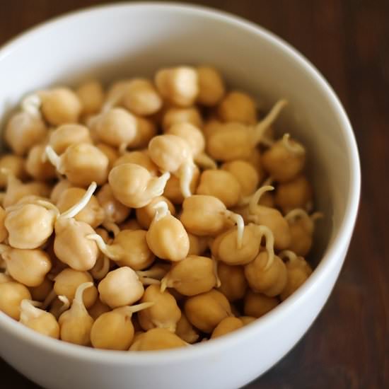 How to Sprout Chickpeas