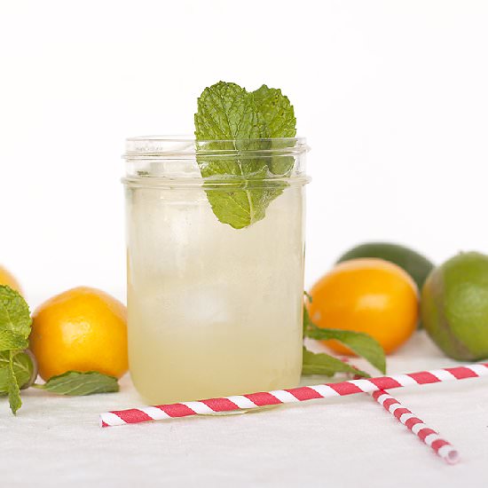 Meyer Lemon Mojitos