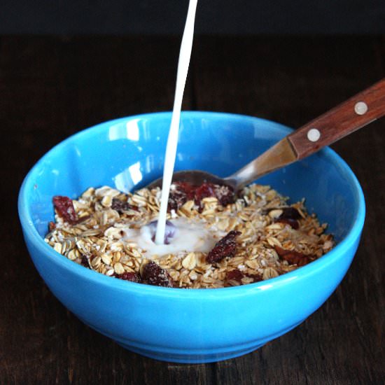 Toasted Cranberry Coconut Muesli