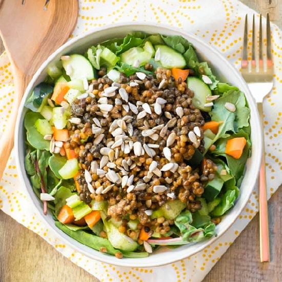 Simple Salad Series: Lentil Salad