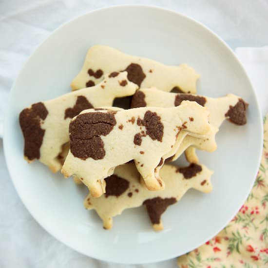 Cow Cookies