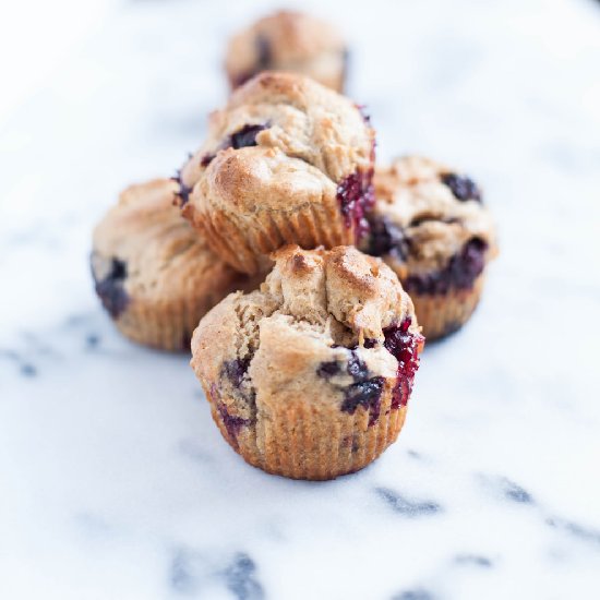 Gluten-Free Blueberry Muffins