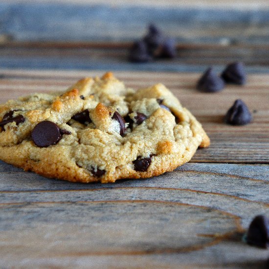 Peanut Butter Chocolate Chip Cookie