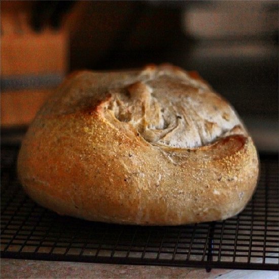 Fluffy Whole Wheat Bread