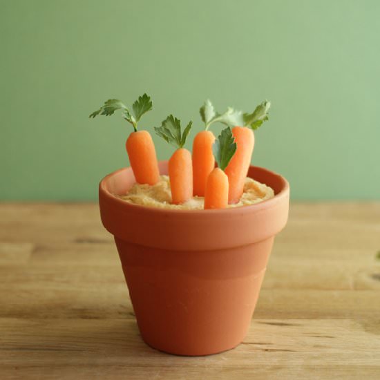 Baby Carrots & Fresh Made Hummus