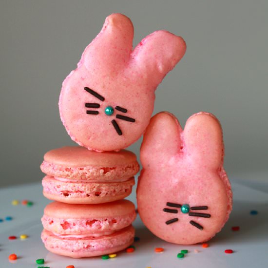 Easter Bunny Macaron