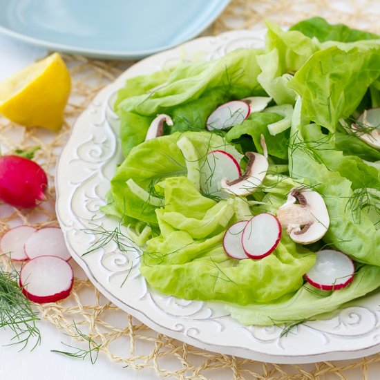 Butter Lettuce Fennel Radish Salad