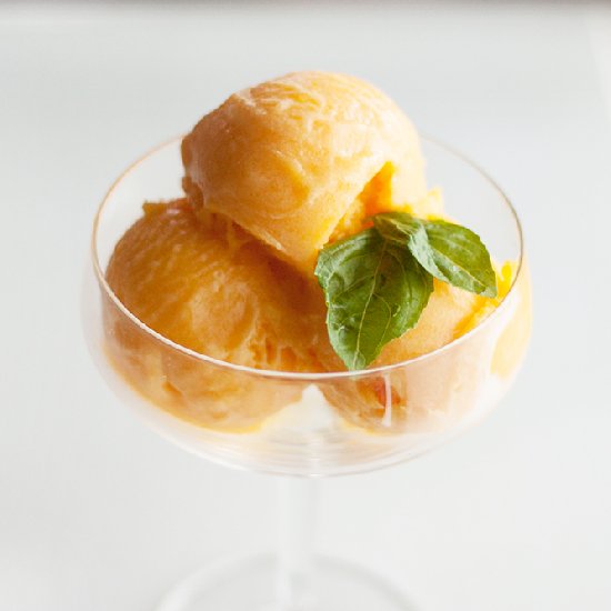 Champagne Mango Sorbet