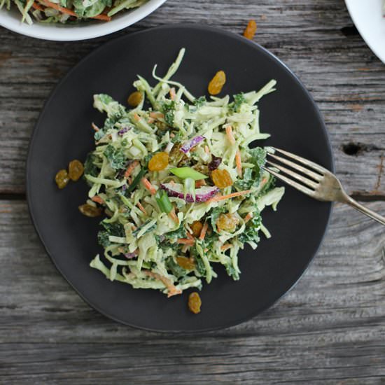 Rainbow Vegetable Slaw