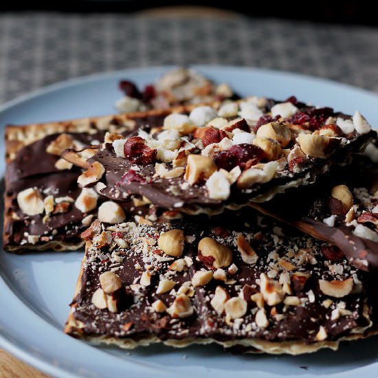 Passover Chocolate Covered Matzo