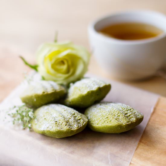 Matcha Madeleines