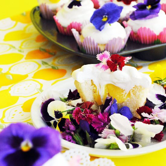 Lemon Cupcakes with Fluffy Icing