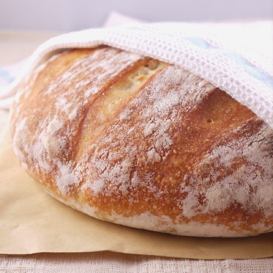 Artisan No Knead Bread