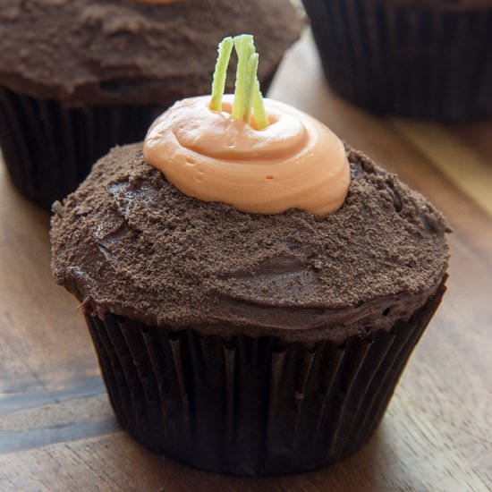 Carrot Patch Cupcakes