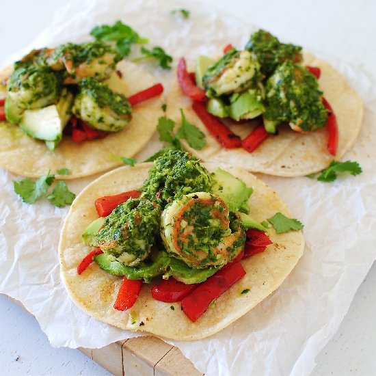 Cilantro-Pesto Shrimp Tostadas