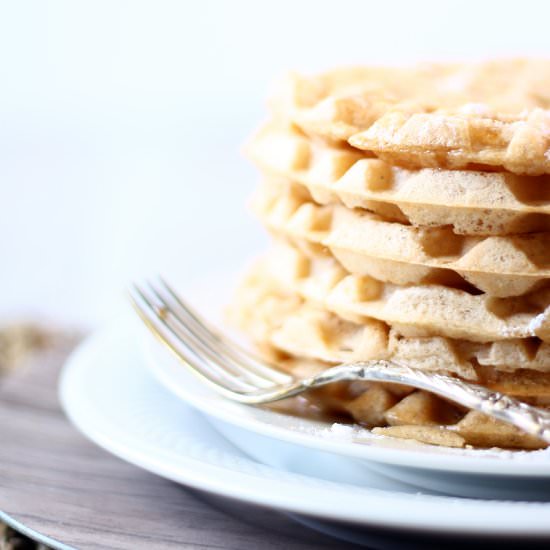 Gluten Free Dairy Free Waffles