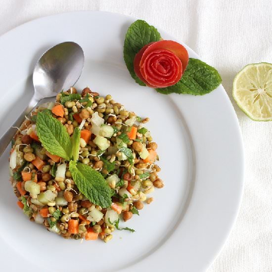 Healthy Sprouted Bean Salad