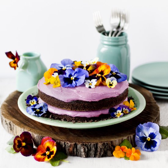 Pansy Cake