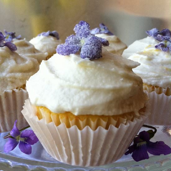 Lemon Curd Cupcakes