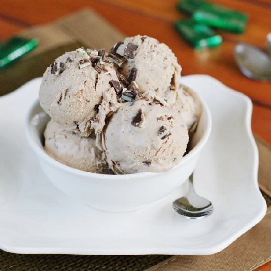 Chocolate Mint Chip Ice Cream