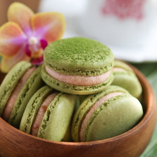 Green Tea Guava Macarons