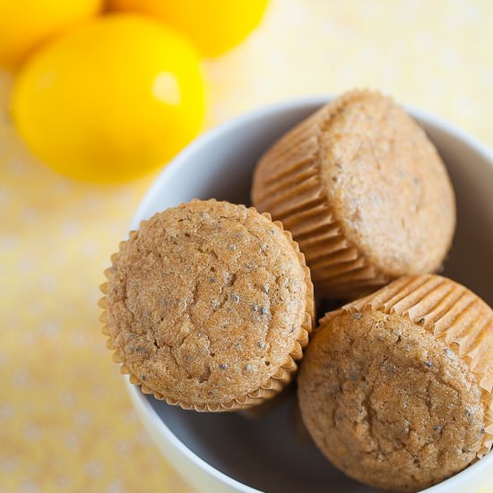 Honey Lemon Chia Seed Muffins