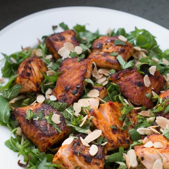 Harissa Salmon, Fennel and Rocket