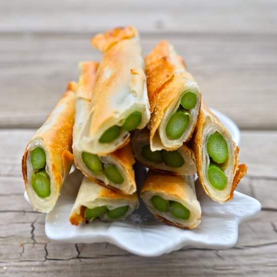 Asparagus Spring Roll