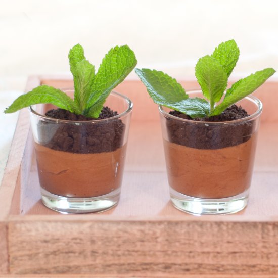 Edible chocolate mousse plants