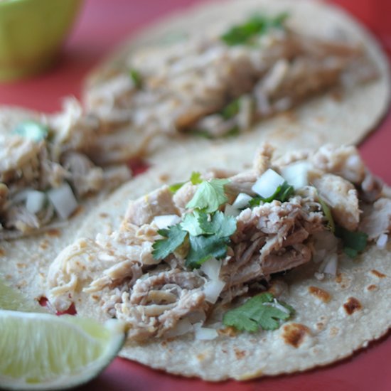 Delicious Carnitas Tacos