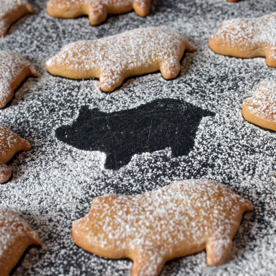 Pati Jinich’s Mexican Piggy Cookies