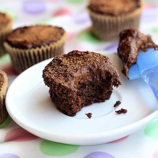 Double Chocolate Chip Muffins