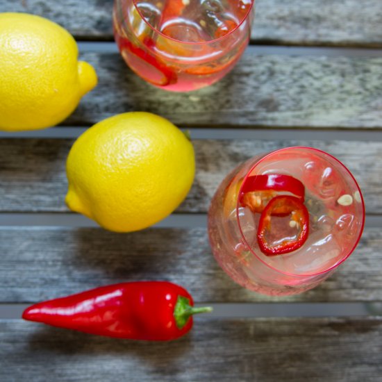 Zesty Wine Spritzer