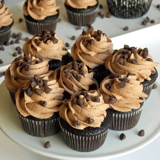 Chocolate Mousse Cupcakes