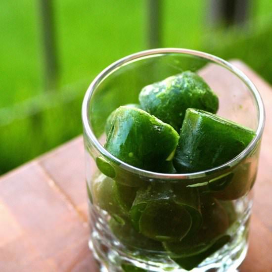 Homemade Wheatgrass Juice Ice Cubes